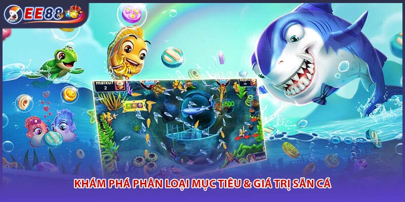 Khám phá phân loại mục tiêu & giá trị săn cá